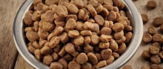 промышленный корм для собак, промышленные корма для собак, промышленный корм, промышленные корма, промышленно изготовленный корм для собак, преимущества промышленных кормов для собак, недостатки промышленных кормов для собак