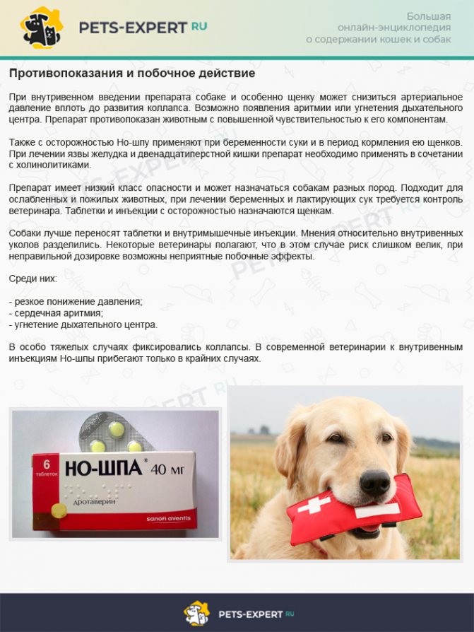 Противопоказания и побочное действие Но-шпы