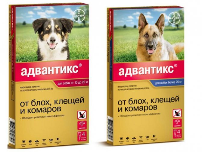 Провести обработку