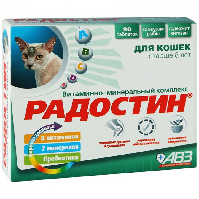 Радостин для пожилых кошек.jpg