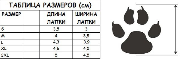 Размер лапы