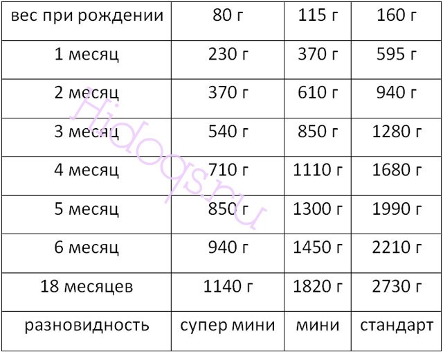 Рост и вес йоркширского терьера, стандарт породы, таблица веса собаки.
