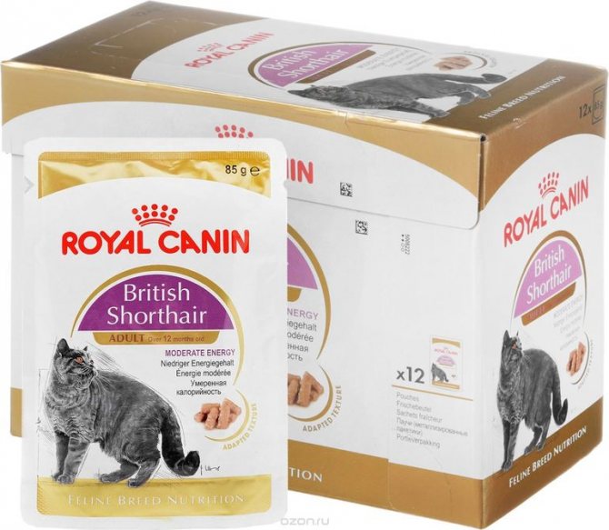 Royal canin для кошек