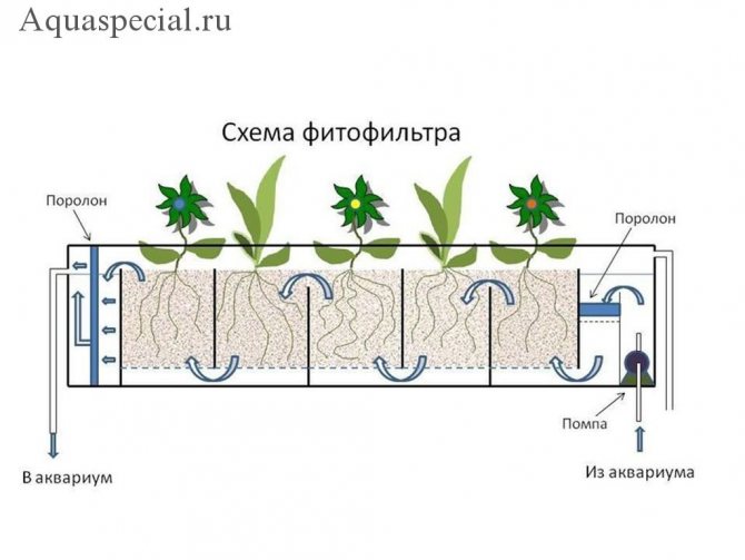 Схема чертеж фитофильтра для аквариума. Фитофильтр своими руками