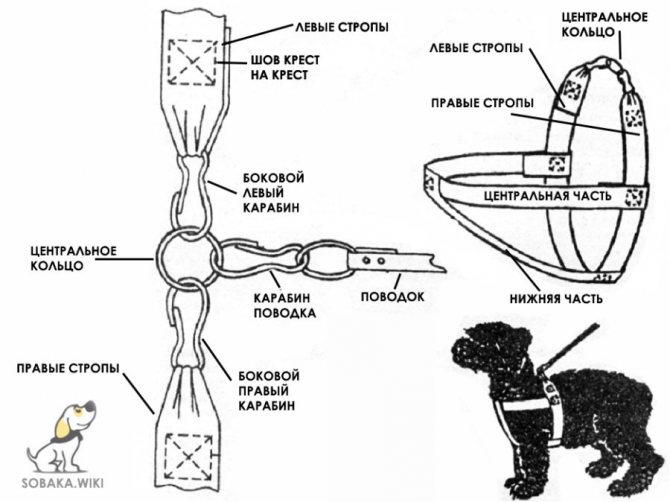 схема шлейки для собаки своими руками