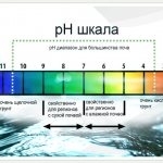 Шкала кислотности воды
