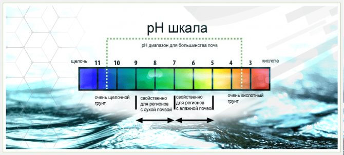 Шкала кислотности воды