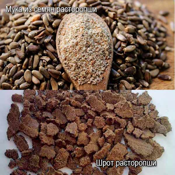 Шрот расторопши для собак дозировка