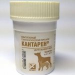 Симптоматика Кантарена для собак