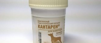Симптоматика Кантарена для собак
