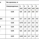 Сколько растет кролик до забоя