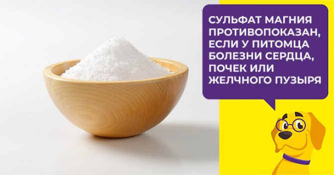 Слабительное для собак: быстродействующие, мягкие и безопасные средства