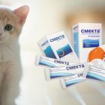 Смекта для кошек