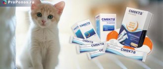Смекта для кошек