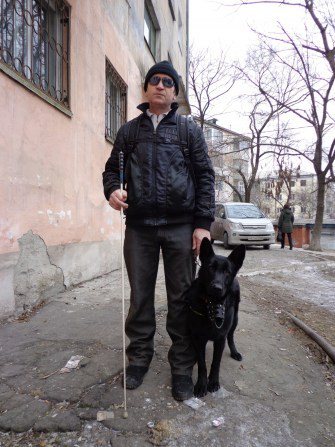 Собаки-поводыри: они спасают жизни