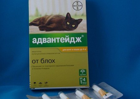 Средство от блох для кошек Адвантейдж