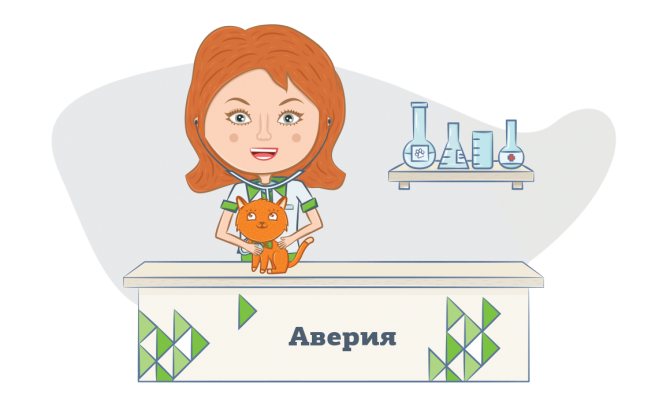 Стерилизация и кастрация кошек - безопасный и эффективный метод