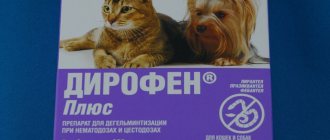 Стоимость одной упаковки Дирофен 130 рублей