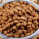 Сухой корм для кошек