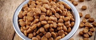 Сухой корм для кошек
