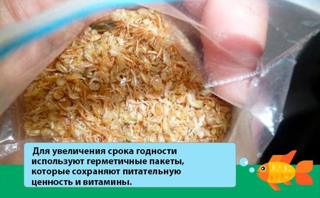 сушеный гаммарус