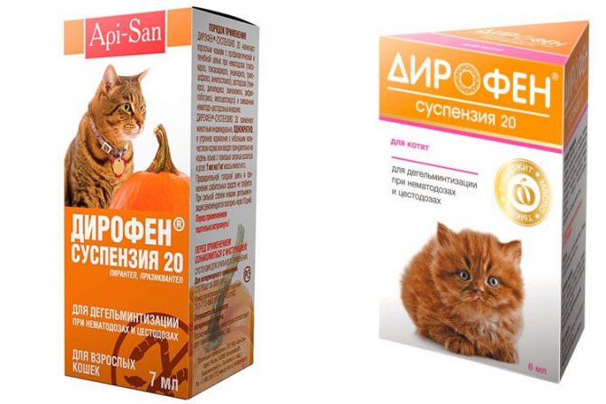 Суспензия Дирофен для кошек