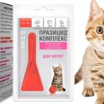 суспензия празицид осн