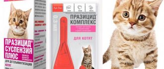 суспензия празицид осн