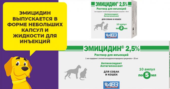 Свойства и особенности приема препарата Эмицидин для лечения собак