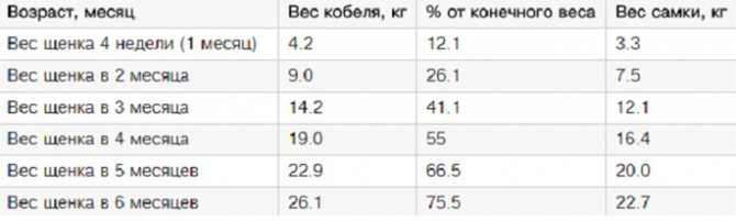 таблица веса щенка немецкой овчарки по месяцам