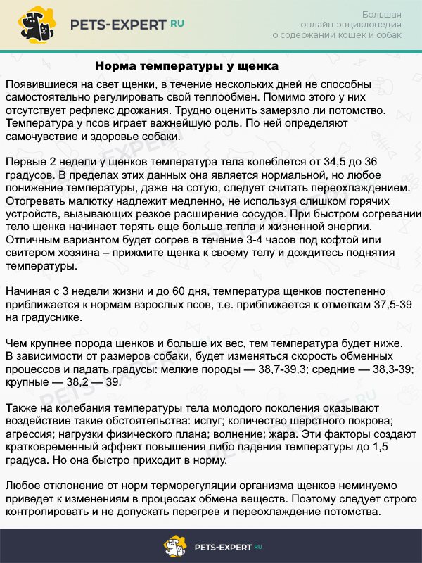 Температура щенков в разном возрасте