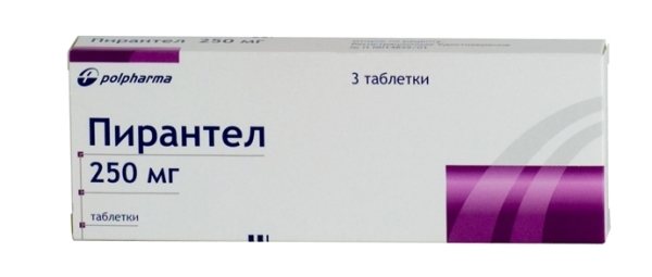 Твой ПитомецПередаются ли человеку глисты кошки Как не заразиться