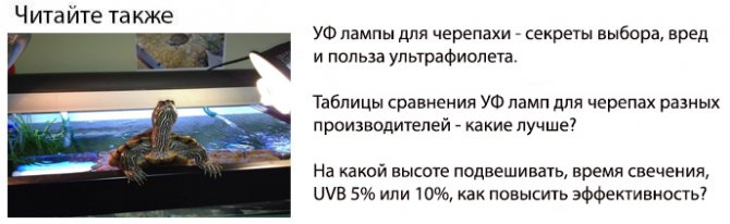 УФ лампа для черепах какая лучше установка и особенности использования