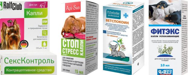 Успокоительные средства для собак