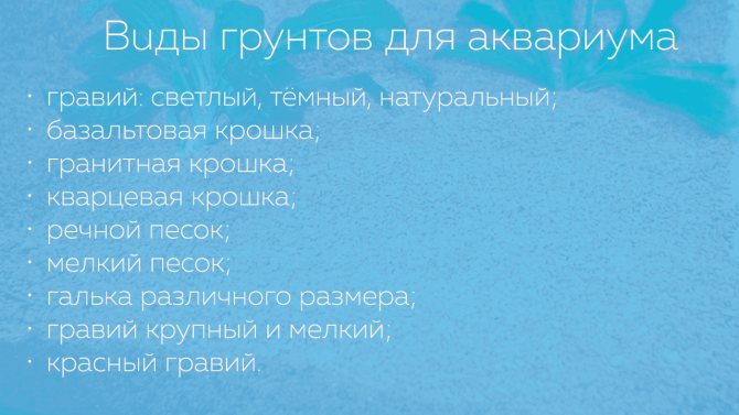 Виды грунтов для аквариума