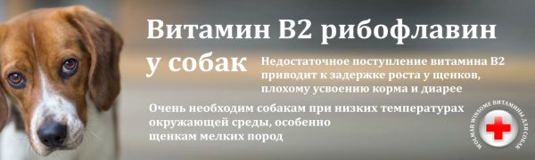 витамины для собак лайки