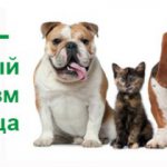 витамины Канина для собак
