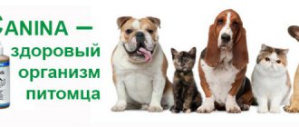витамины Канина для собак