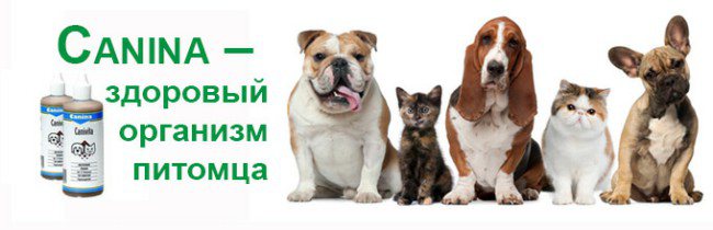 витамины Канина для собак