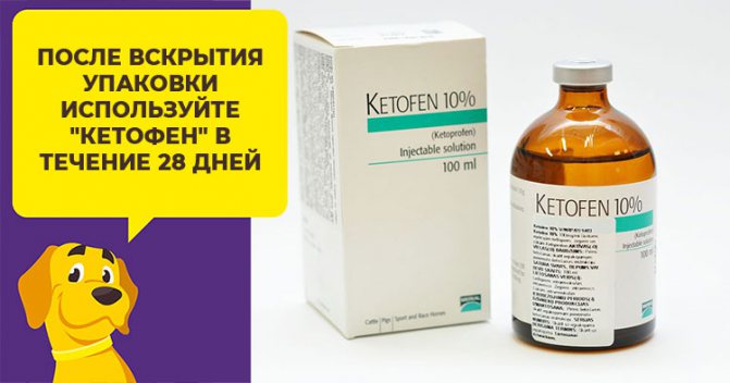 Все, что нужно знать о препарате Кетофен заводчикам собак