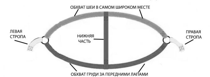 выкройка шлейки для собаки