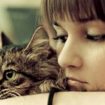 Защита животных от паразитов