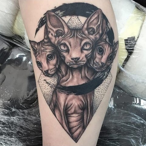 Значение татуировки кошка для девушек и мужчин, египетские кошки, сфинкс, головва кошки, черная, крылья, лапки